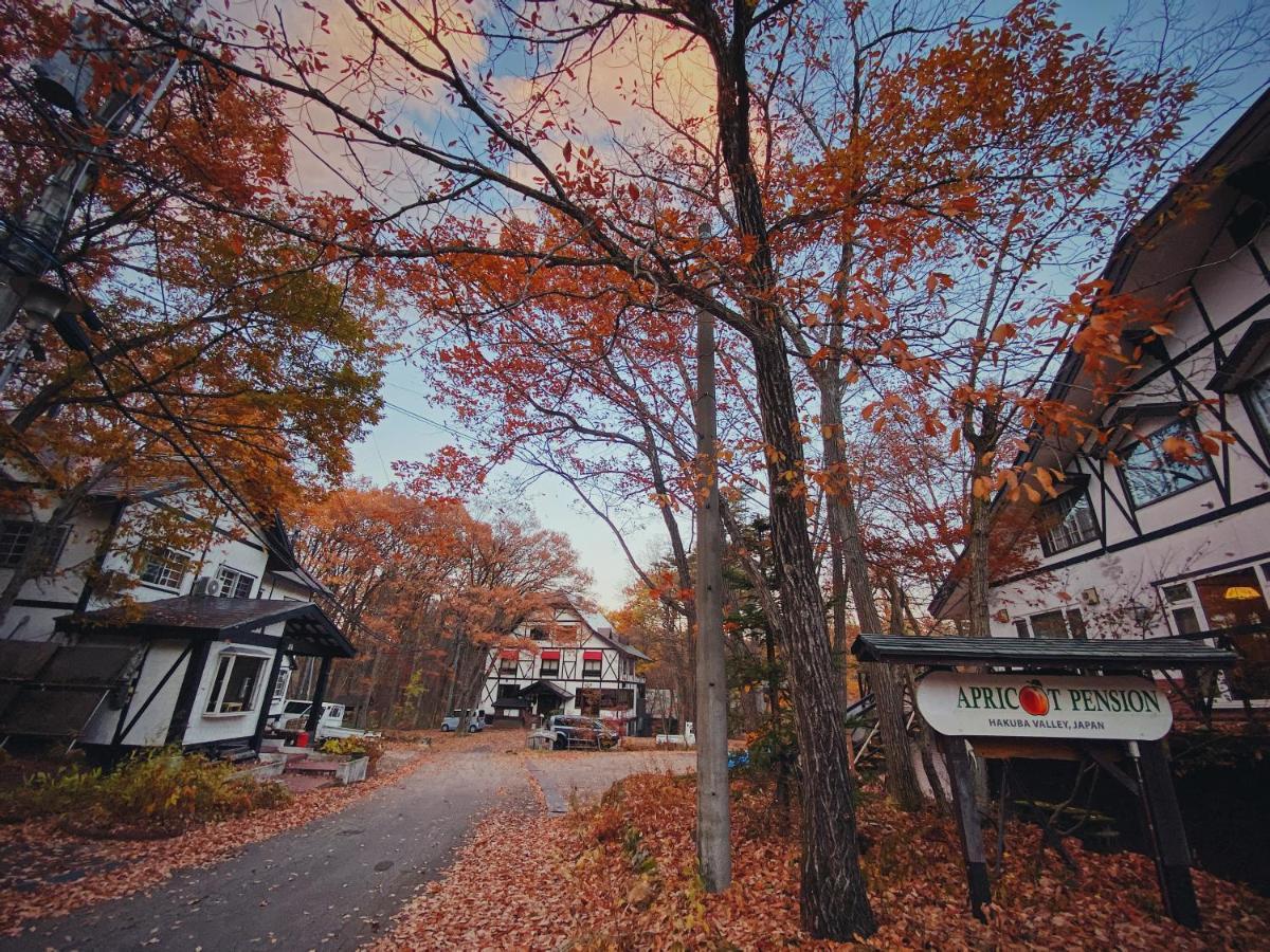 Apricot Pension Hakuba Eksteriør billede