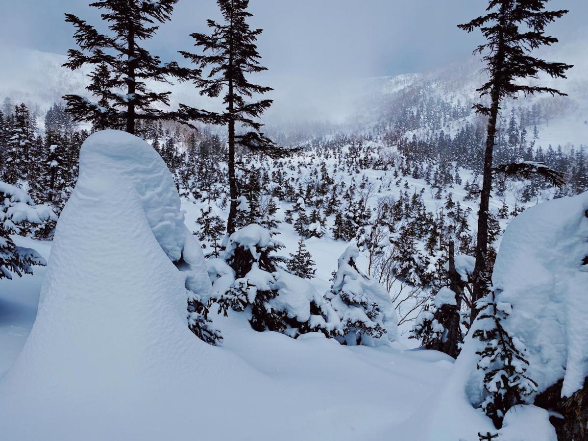 Apricot Pension Hakuba Eksteriør billede